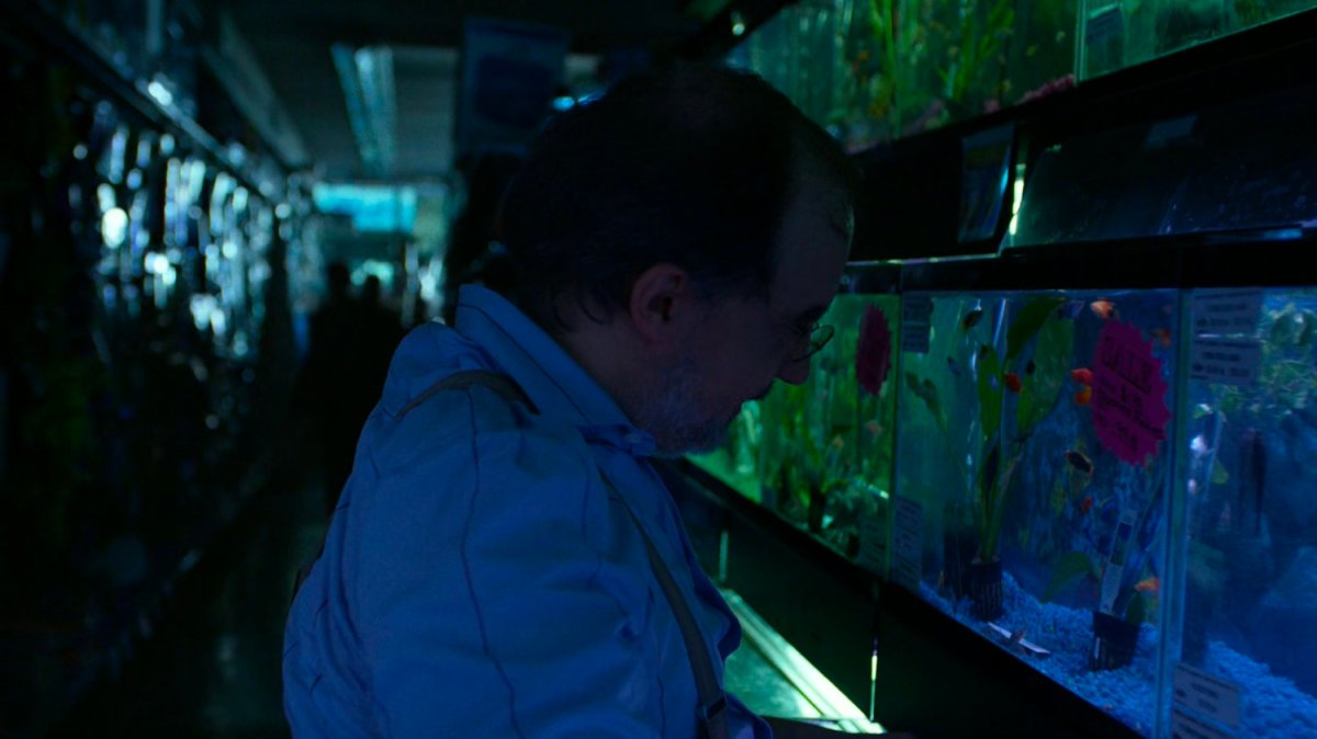 Man in pet store by fish tank.
