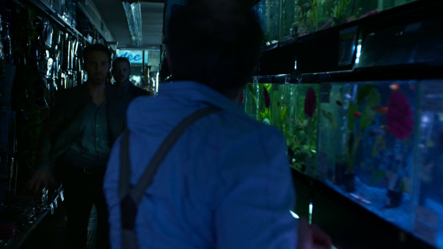 Kitchen Irish approach man in pet store by fish tank.