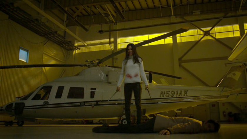 Elektra with two sais in a private airplane hangar.