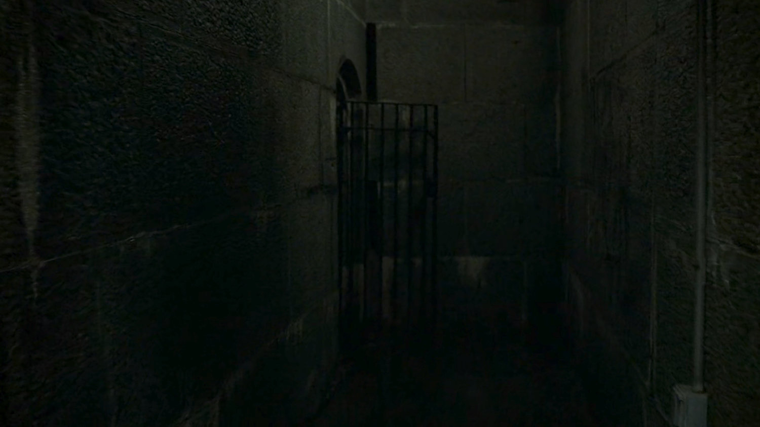Gate in abandoned tunnel.