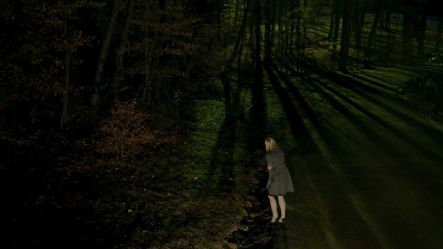 Karen entering woods from a dark, wooded road.