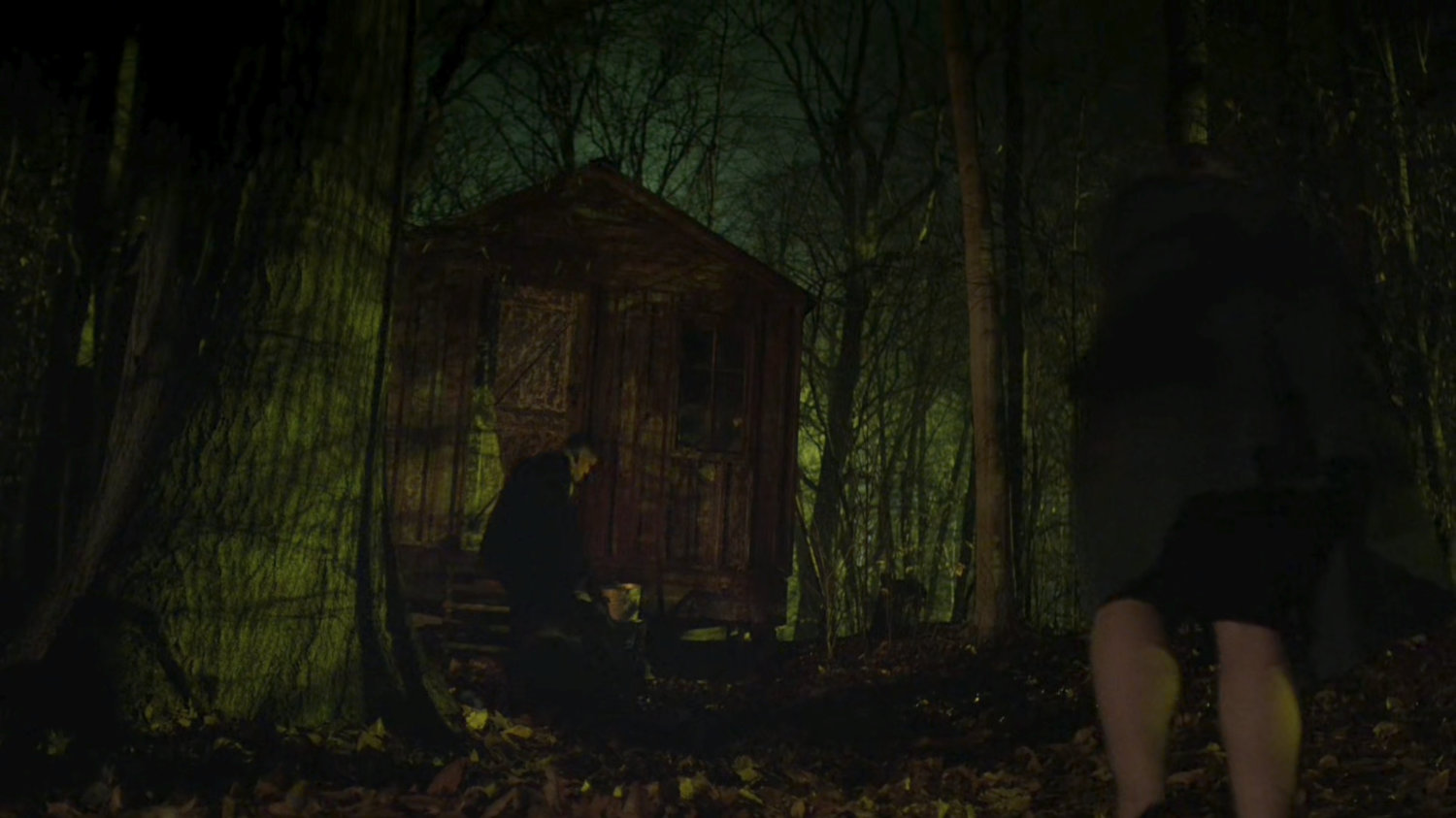 Karen watches Frank pull Ray into a tool shed in the dark woods.