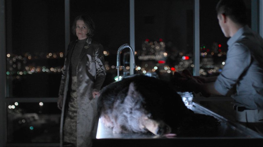 Murakami dissecting a moon bear in his workshop while talking to Alexandra.