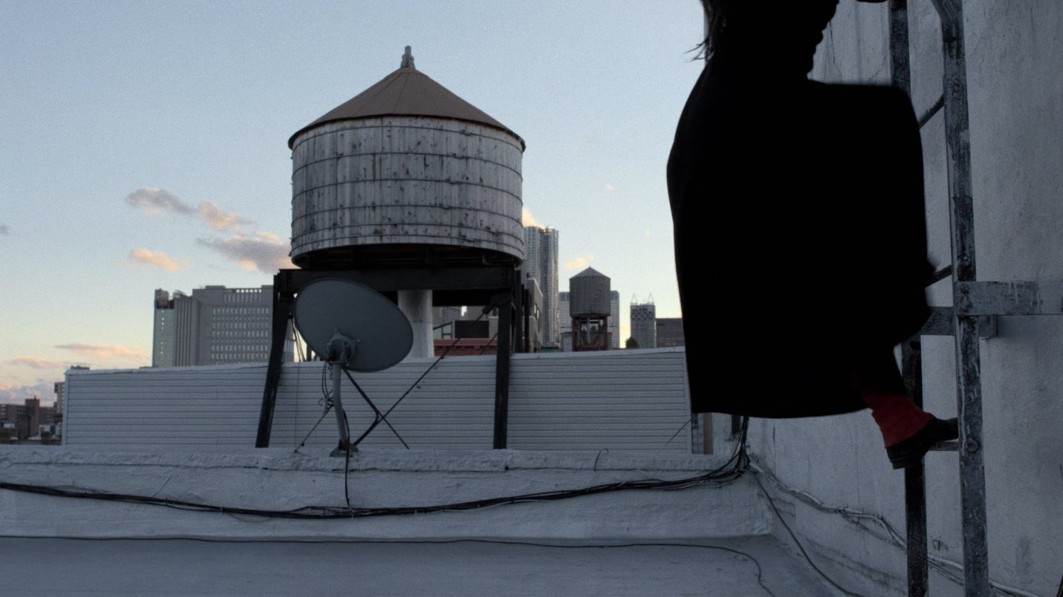 Elektra climbing a ladder on Matt's rooftop.