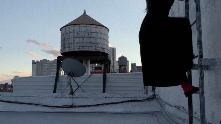Elektra climbing a ladder on Matt's rooftop.
