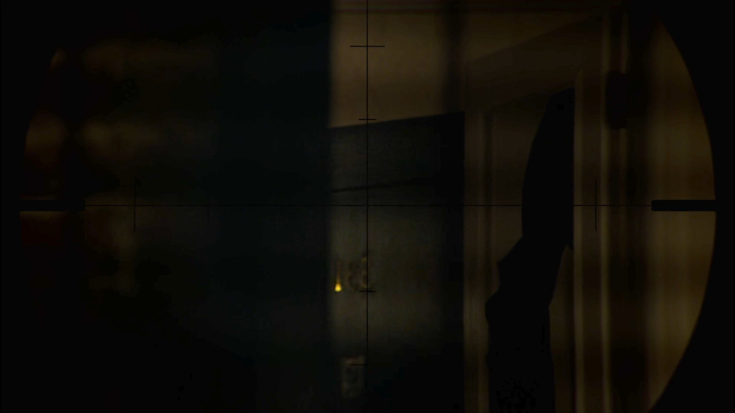 Closeup of the apartment across the alley as seen through a rifle sight.