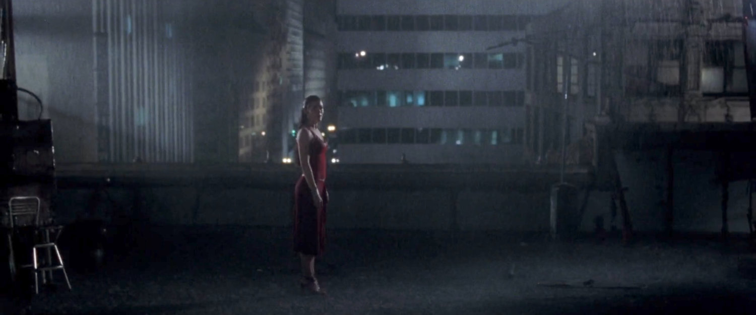 Elektra alone on Matt's apartment complex roof in the rain.