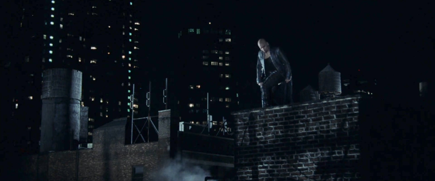 Bullseye standing on a rooftop.