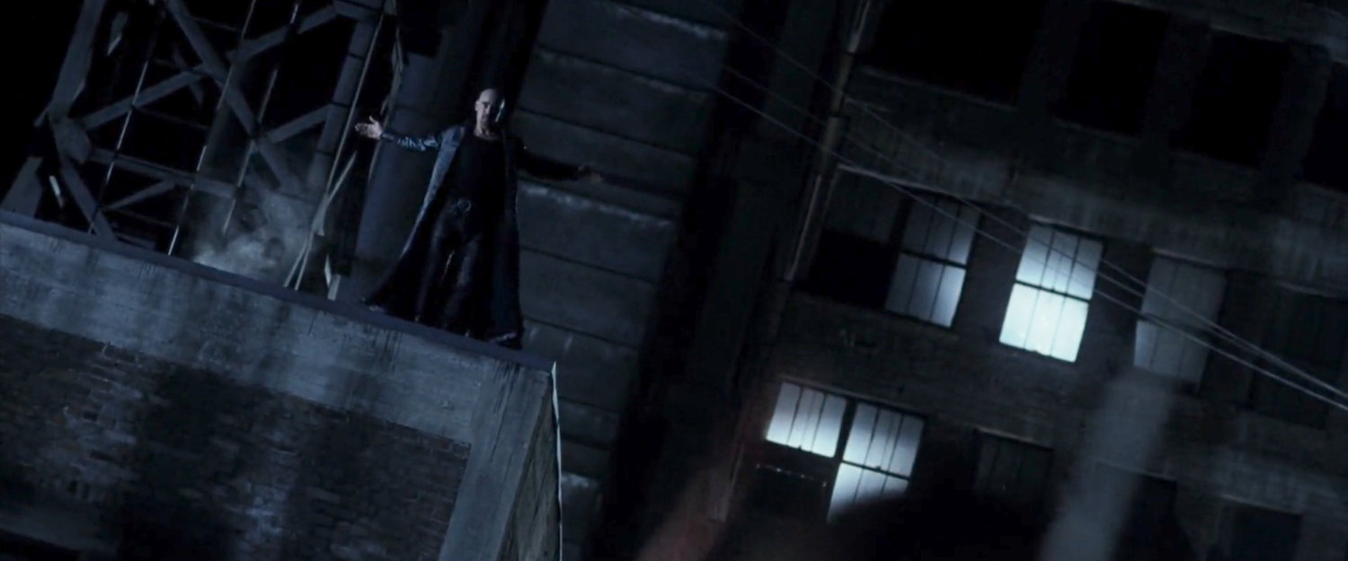 Bullseye standing on a rooftop.