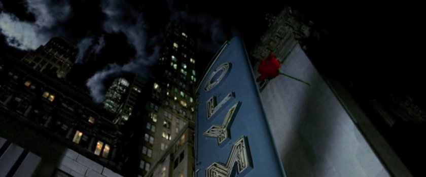 Rose falling through air outside Olympic Auditorium.