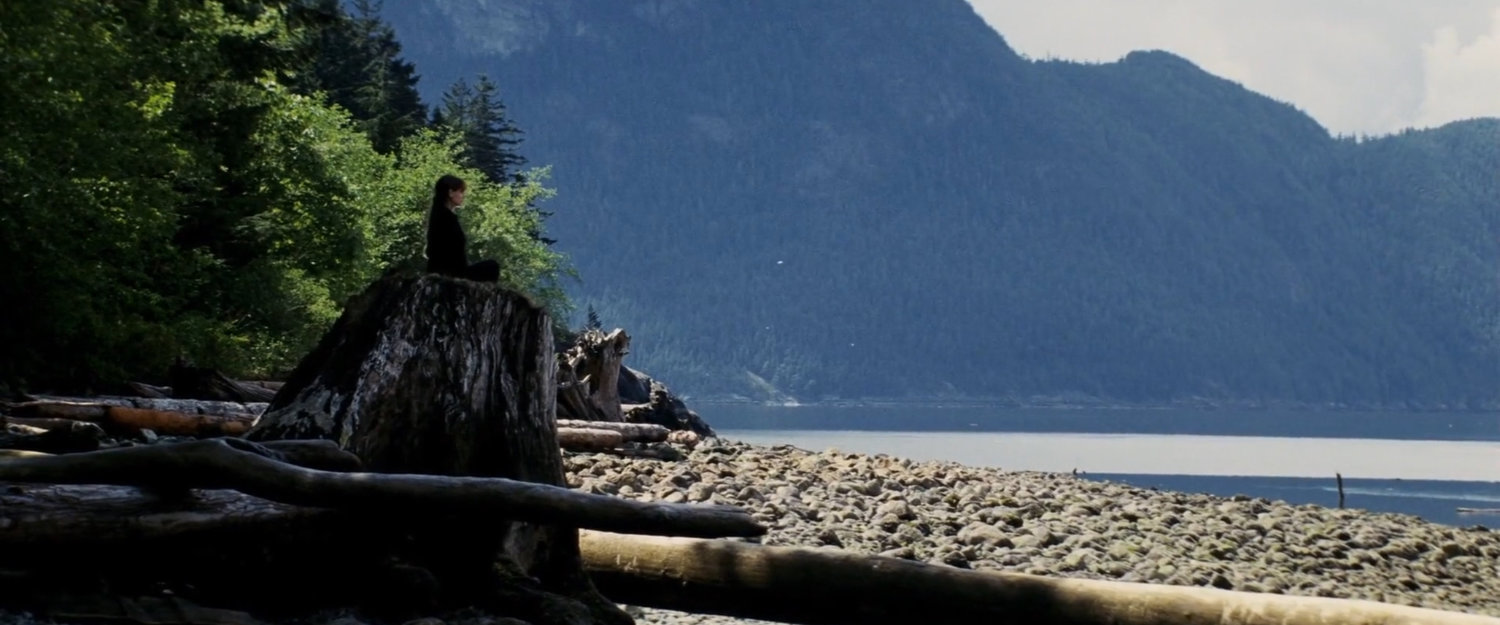 Elektra sitting on a tree stump by water.
