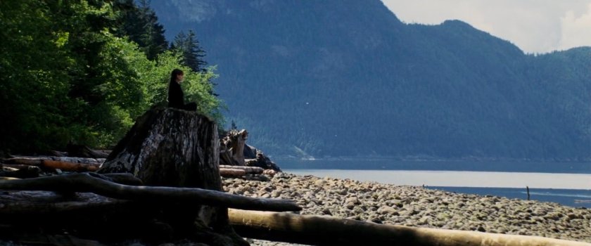 Elektra sitting on a tree stump by water.