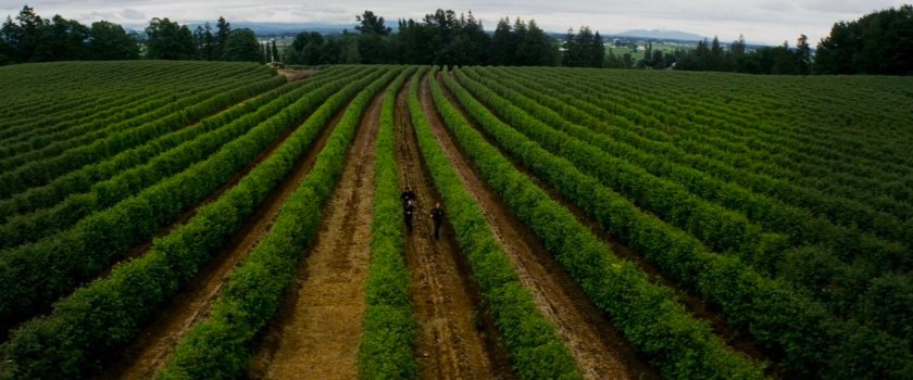 Elektra, Abby, and Mark in the fields of the McCabe farm.