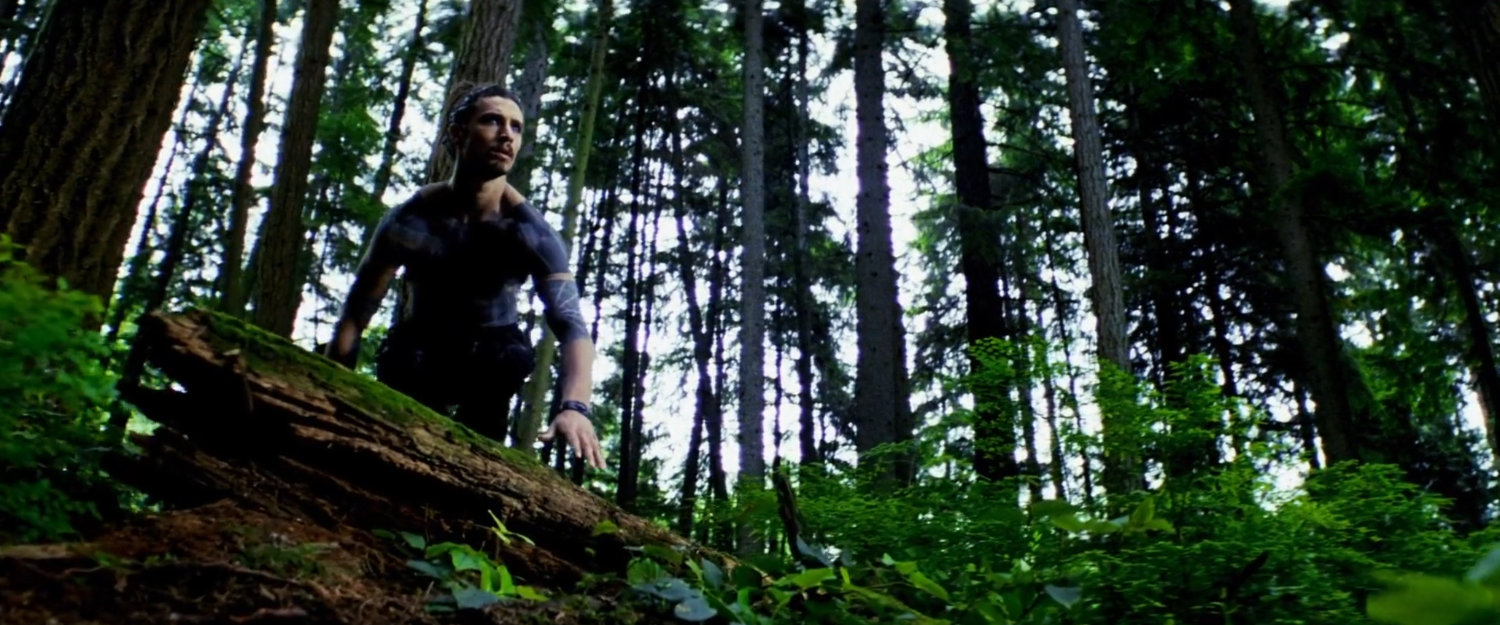 Tattoo in the woods.
