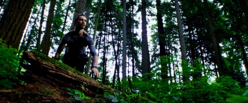 Tattoo in the woods.