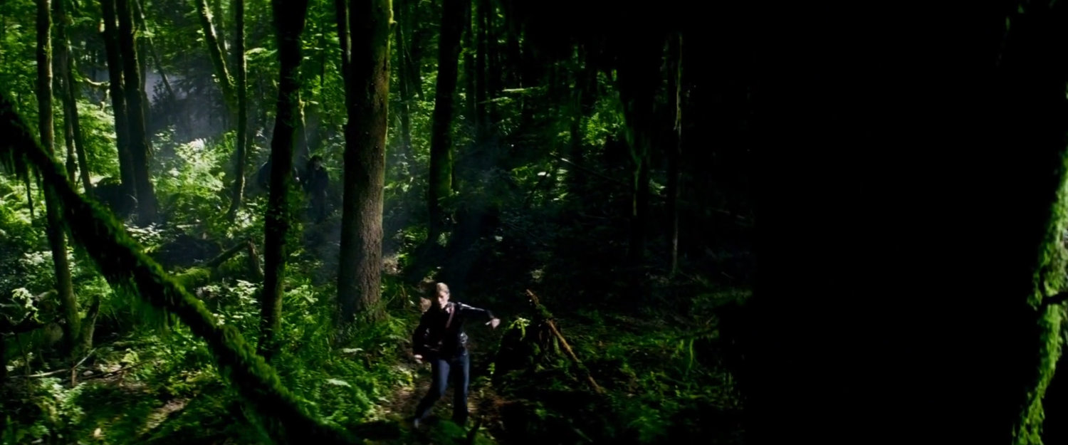 Elektra in the woods.