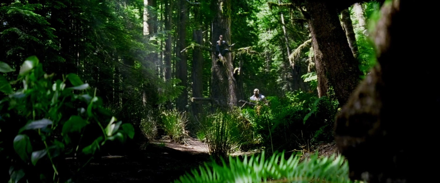 Stone in the woods.