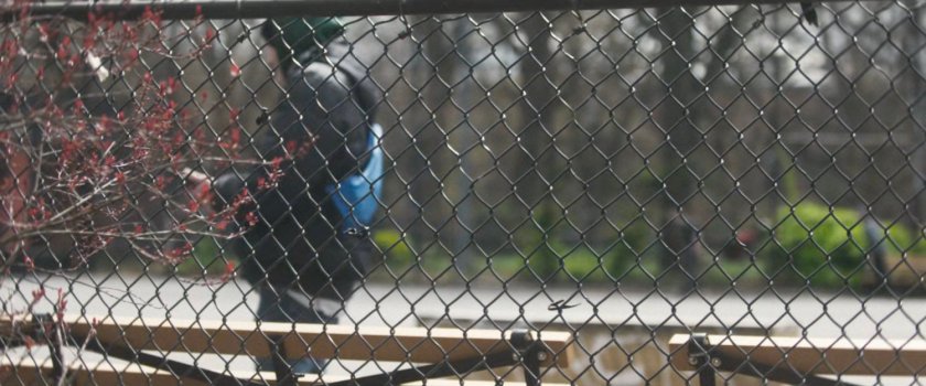 Interstitial: park seen through fence.