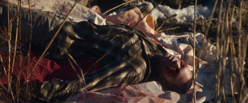 Dead body on rocky shore near Red Hook port.