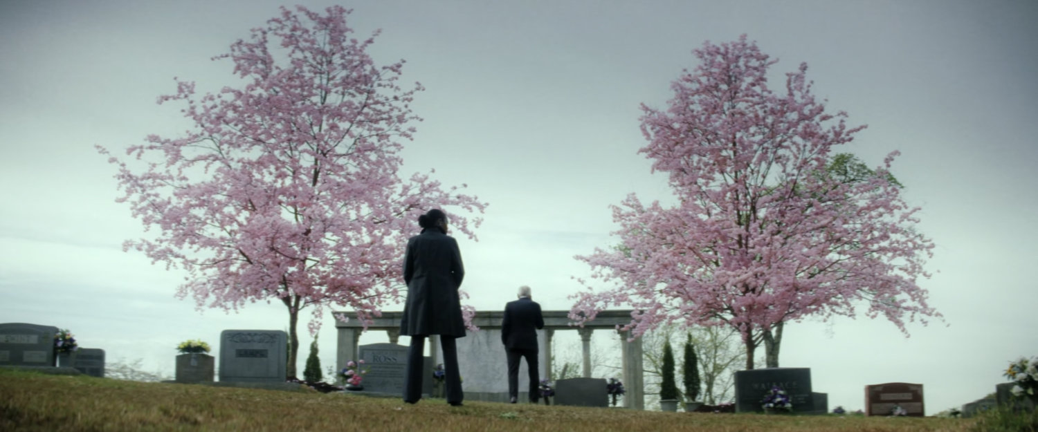 Cemetery, Washington, DC | MCU Location Scout
