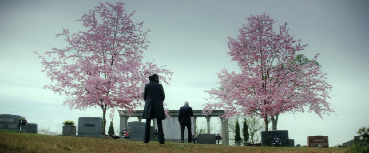 Cemetery, Washington DC | MCU Location&nbsp;Scout