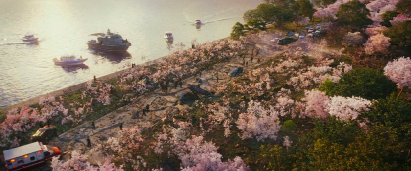 Aftermath of battle in Hains Point.