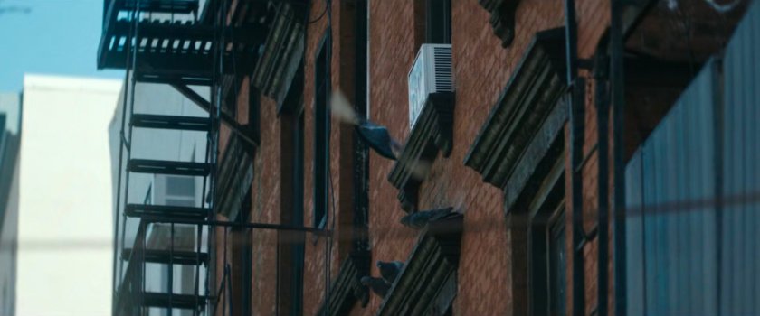 Interstitial: side of building with pigeons.