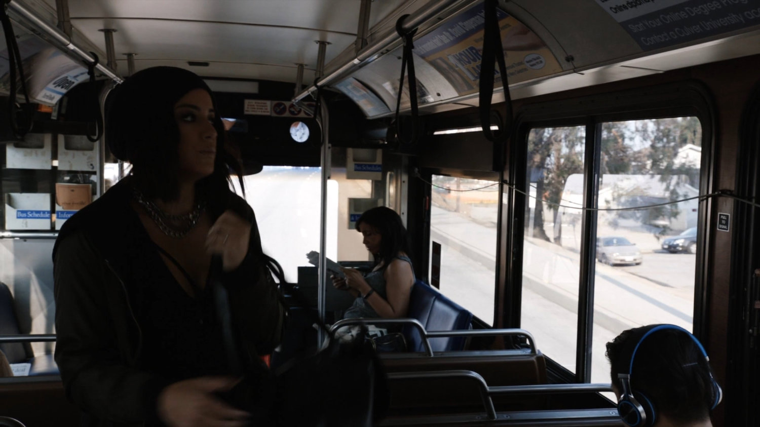 Daisy on a city bus.