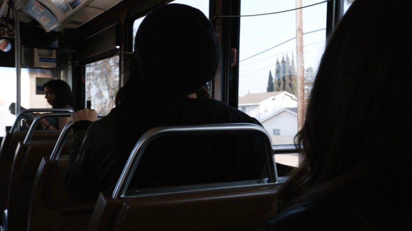 Daisy on a city bus.