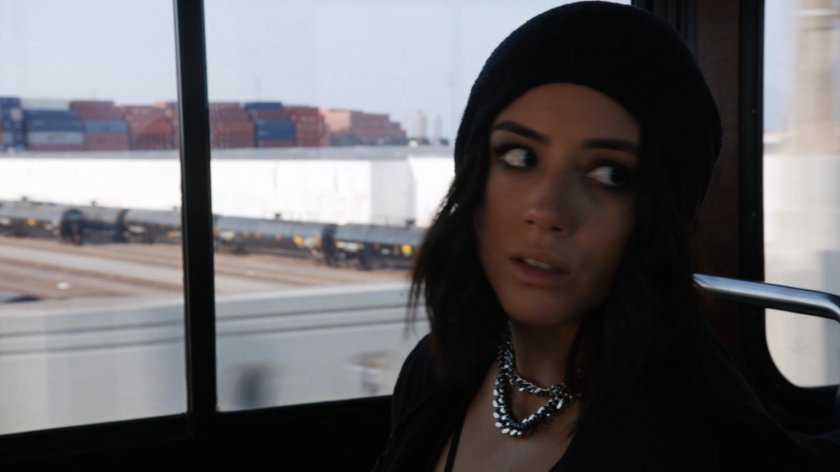 Daisy on a city bus.