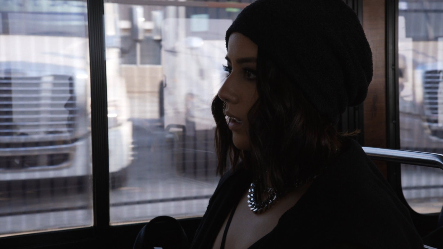 Daisy on a city bus.