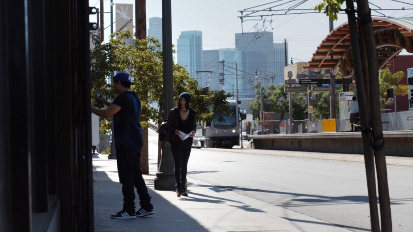 Daisy walking along sidewalk.