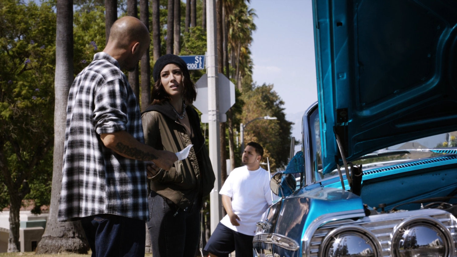 Daisy speaking to a car owner outside a park.
