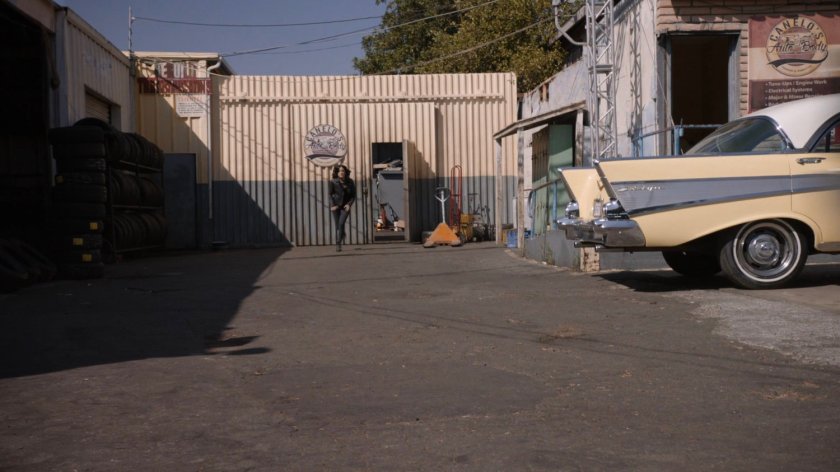 Daisy running out of Canelo's Auto & Body.