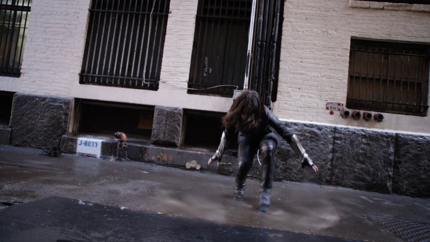 Daisy on the roof of the quantum cube warehouse.