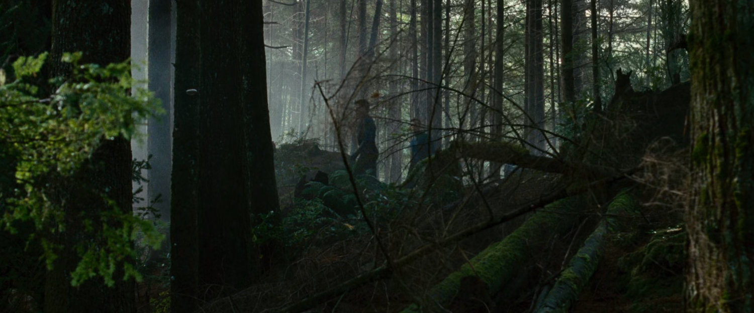 Reed in the Black Forest.