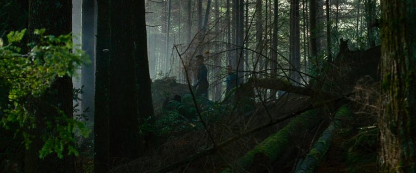 Reed in the Black Forest.