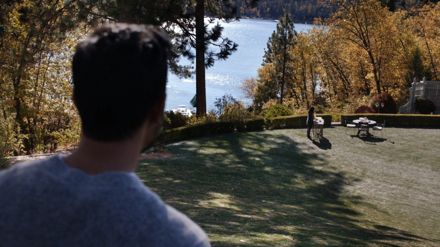 Vijay looking at Ellen on the lawn outside her lake house.