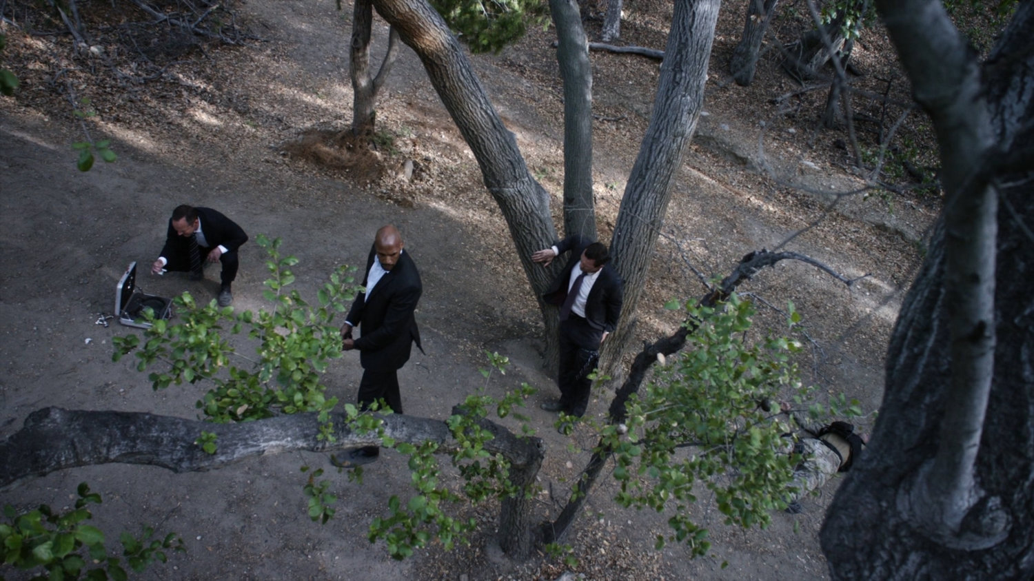 High angle shot of Coulson, Mack, and Mace in Freyer National Park West Virginia.