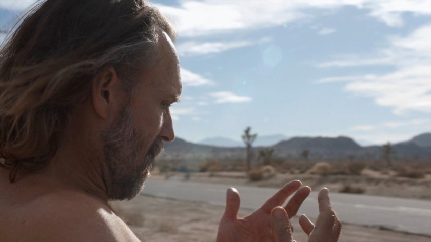 Shockley in the desert by a road.