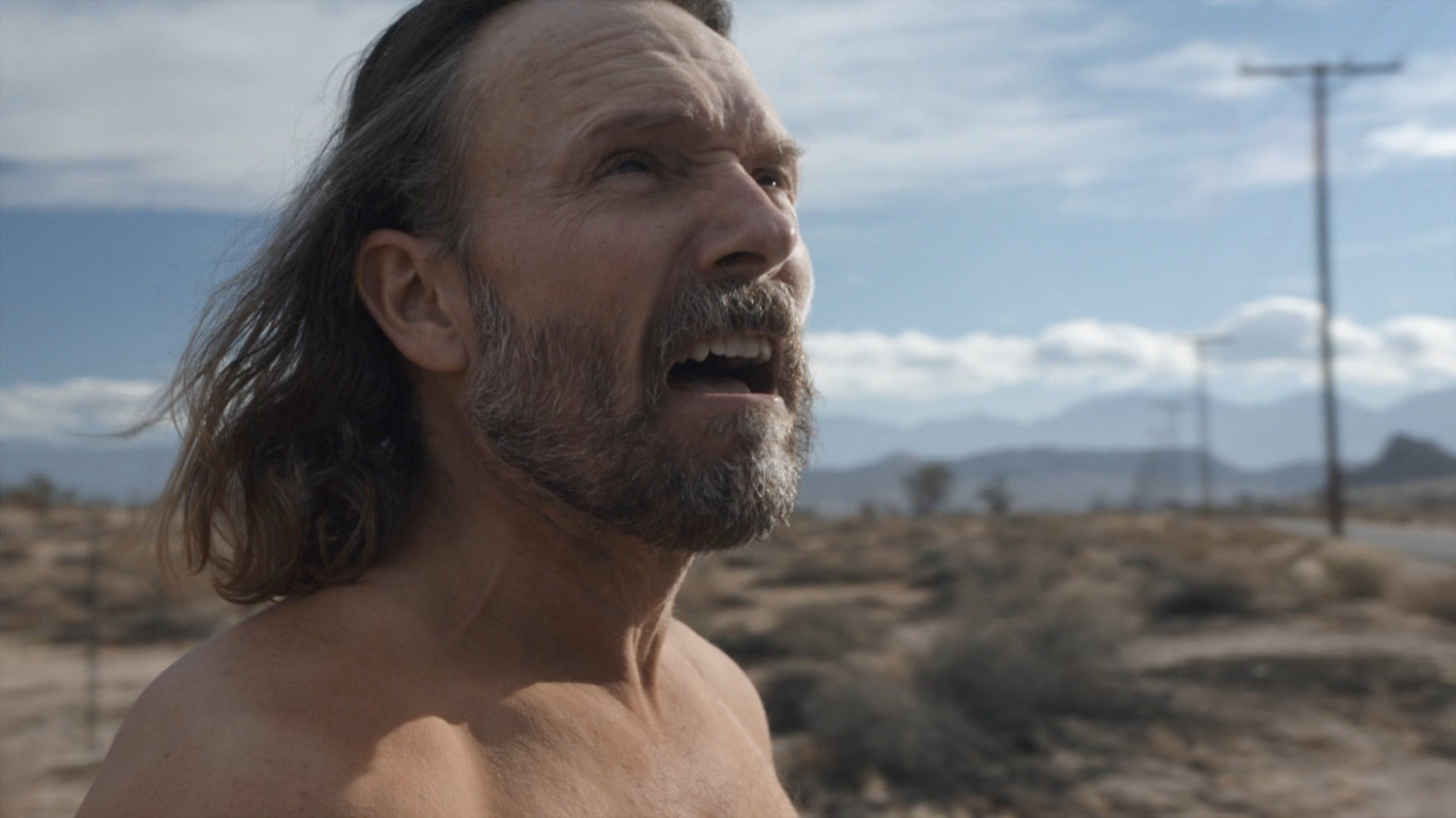Shockley in the desert by a road.