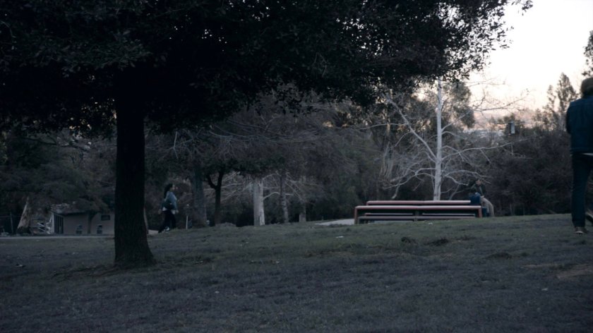 View of a park in the Framework