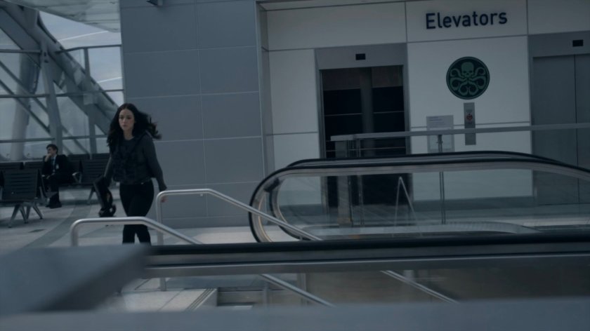 Daisy in the atrium of the Framework Triskelion.