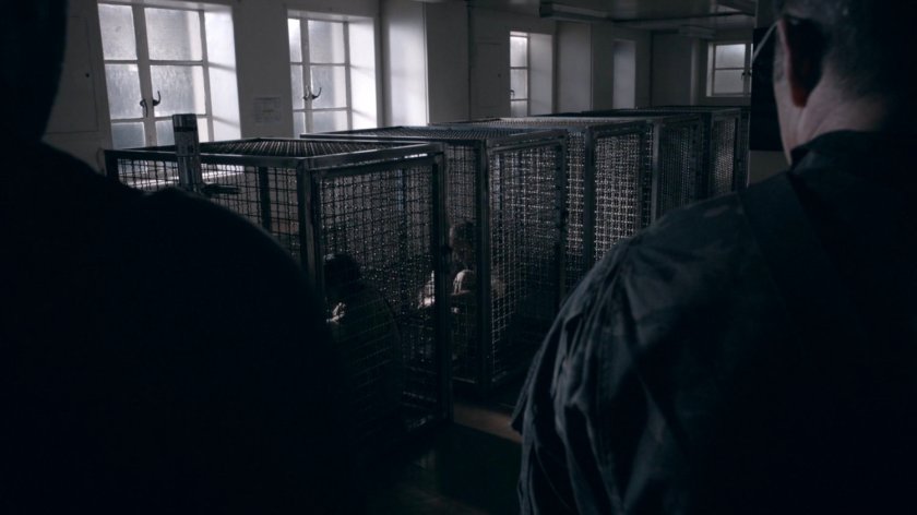 Mace and Coulson looking at prisoners inside the HYDRA Enlightenment Cultivation Center Rehabilitation Unit in the Framework.