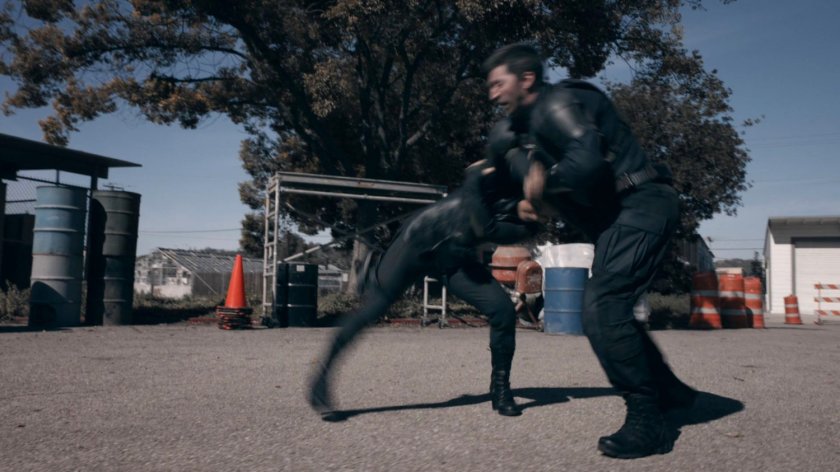 May fights the Patriot in a lot at the HYDRA Enlightenment Cultivation Center in the Framework.