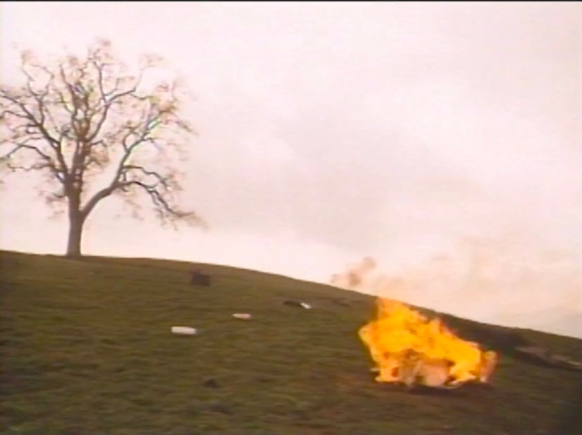 Fiery wreckage on a one tree hill.