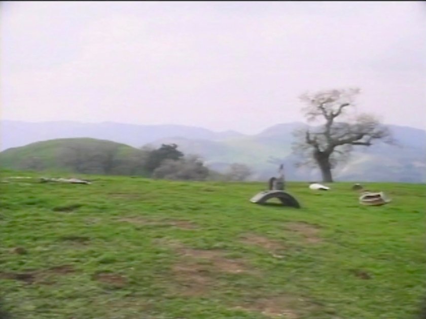 Crash wreckage on a one tree hill.