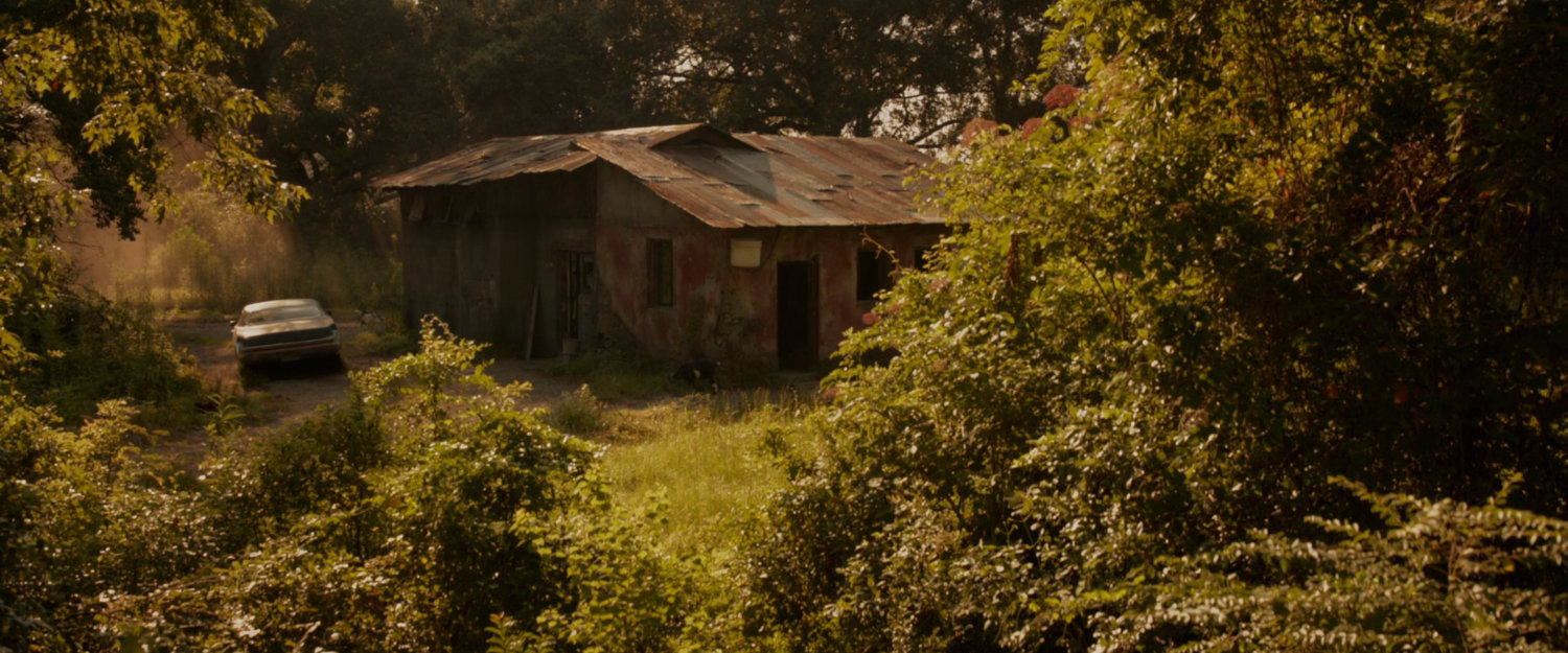 South American Jungle | MCU Location Scout