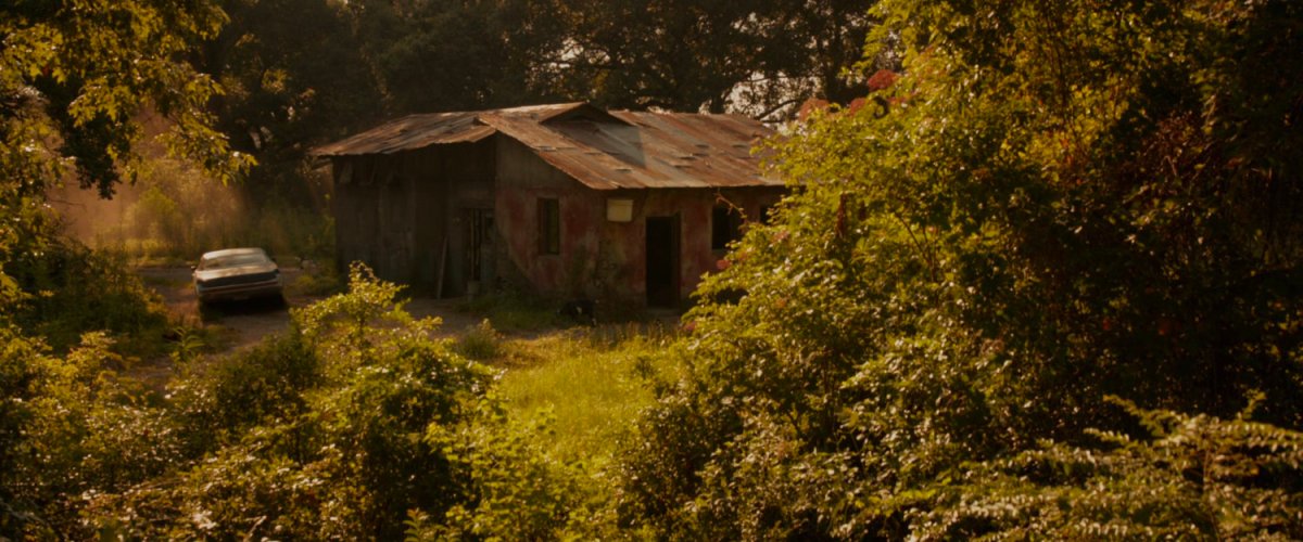 South American Jungle | MCU Location&nbsp;Scout