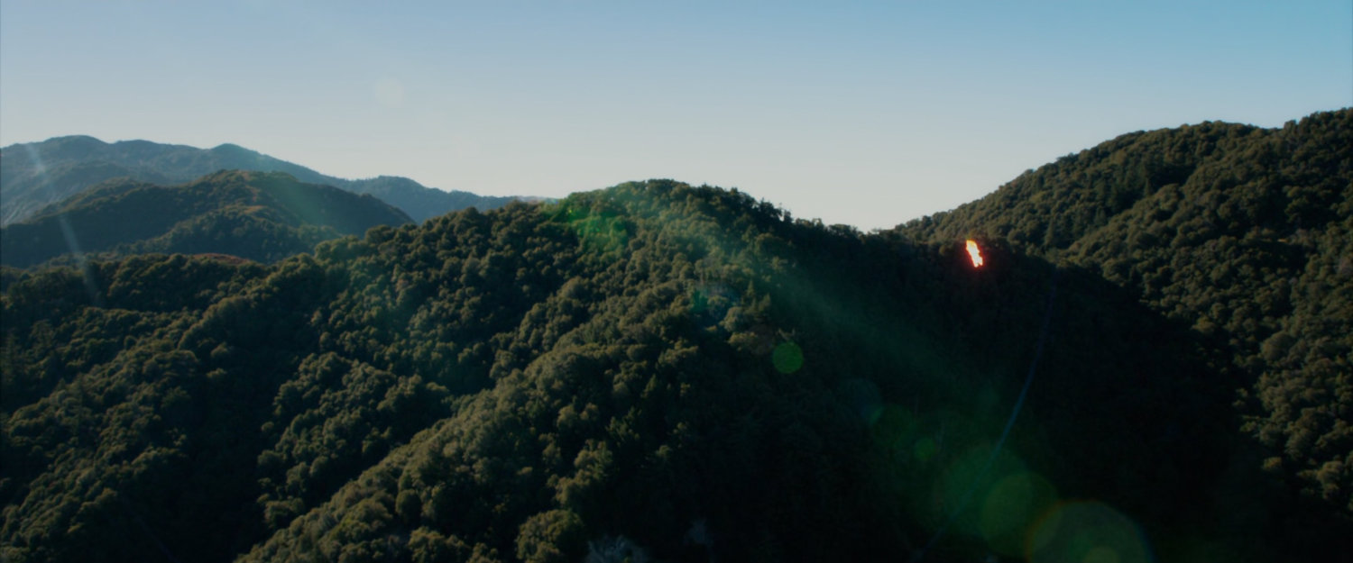 The Human Torch flies over forested hills.